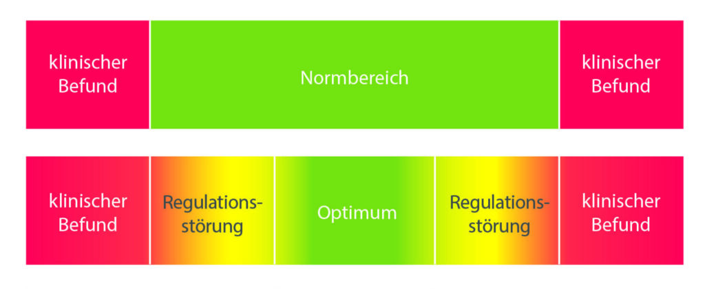 integralmedizinische Laborauswertung